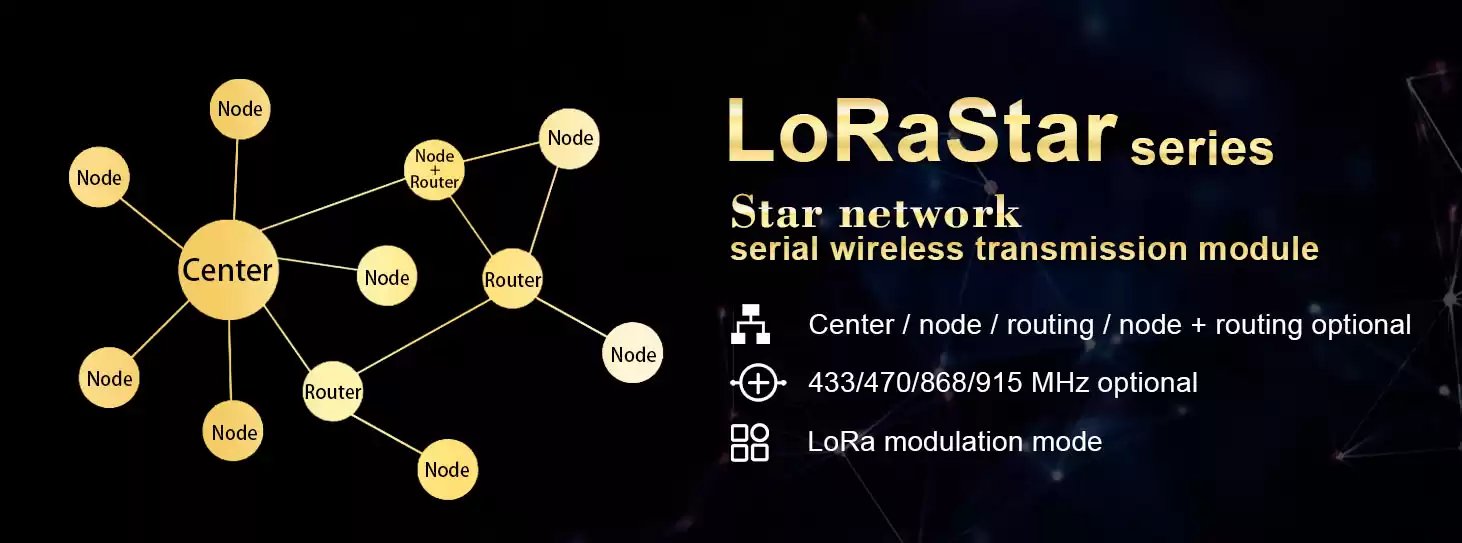 NiceRF loraSTAR-Serie Star-Netzwerk-Funkmodul, neues Angebot