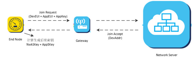 Kommerzielle LoRaWAN-Netzwerke